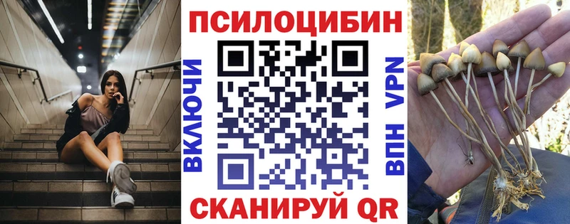 Купить  Татарск  Галлюциногенные грибы Psilocybine cubensis 